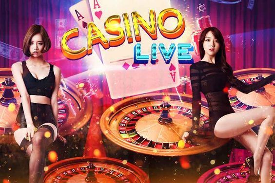moneyline Live Casino